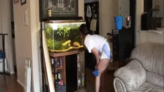 Cici: Playing with Aquarium