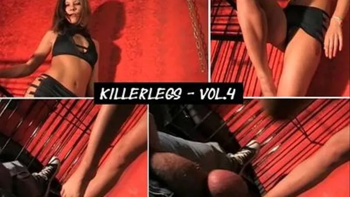 Janimpg13 - killerlegs - vol.4