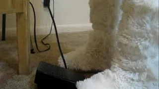 < By Request > Fuzzy white slippers Pumping the PEdal