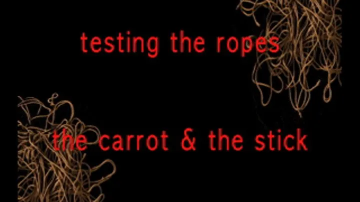 Minx Academy 2: Shibari 101 - The Carrot and The Stick