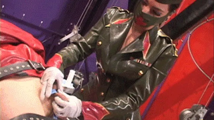 Demented Rubber Nurse: Cybill Fries His Balls