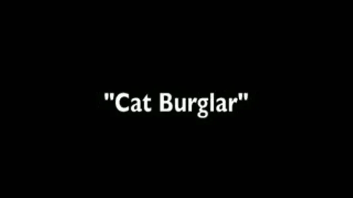 "Cat Burglar" -Regular Version