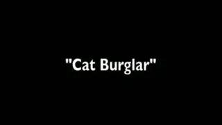 "Cat Burglar" -Regular Version