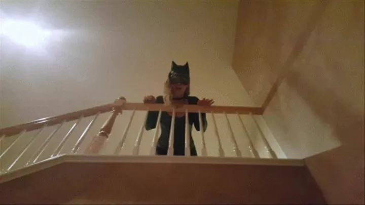 Cat VS Bat- Batman