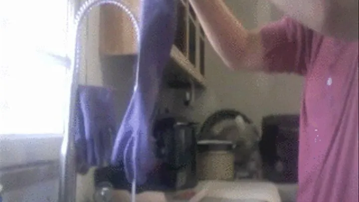 Voyuer Hole In Dishgloves