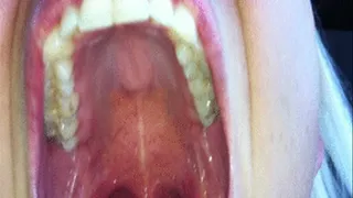 Deep Mouth Worship