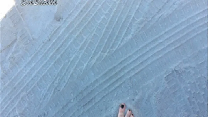 Sandy Toes Walking On The Beach