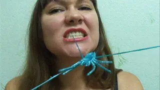 SWALLOWING SPIDER