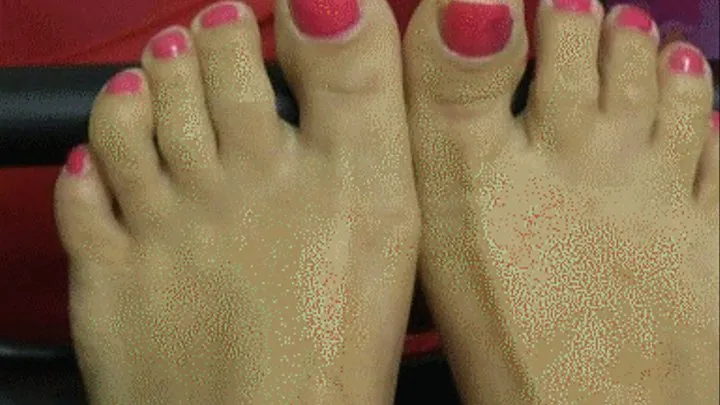 SEXY LITTLE TOES (tw)