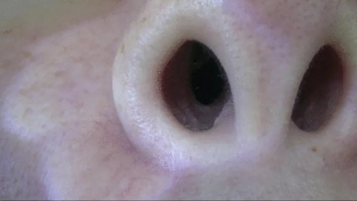 INSIDE THE NOSTRILS