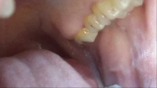 MOUTH TRAVEL EXTREMELY CLOSE UP pt.2 (ec)