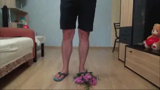 STOMPING FLOWERS AND TEDDY BEAR (