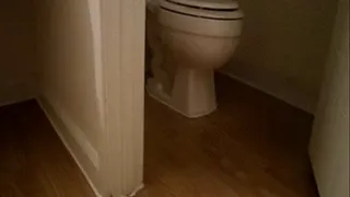Toilet Fetish early morning