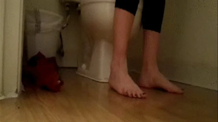 Black lace Legging TOILET FETISH