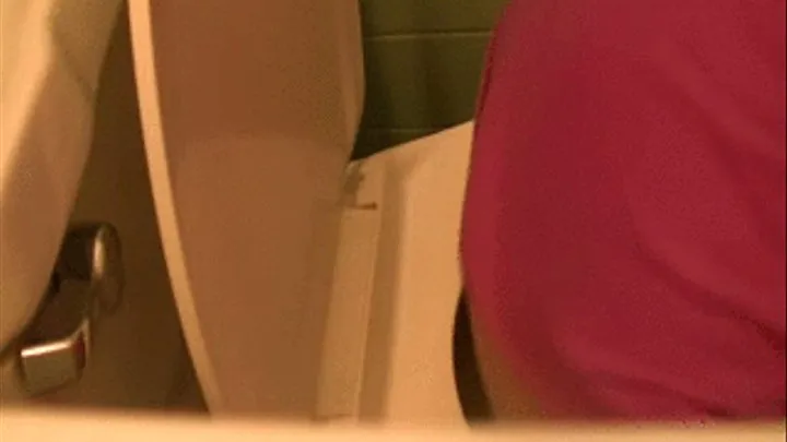 Side View TOILET FEtish way to close and personal