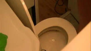 HOlY solid lots a load TOILET FETISH