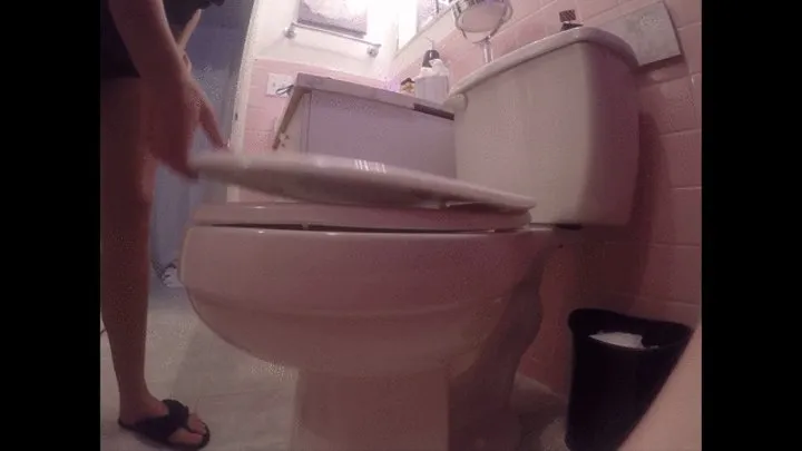 Candid biig butt side view TOILET FETISH