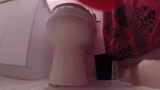 Fluffy snipper view long solid load TOILET FETISH