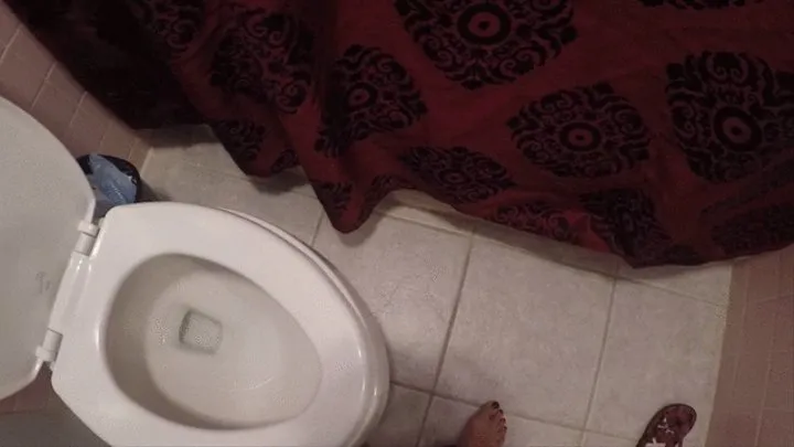 Its a nasty period Monday Her POV toilet fetish