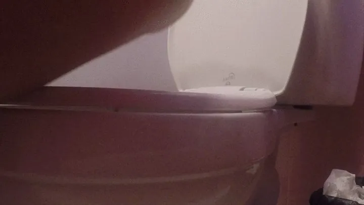 Side View butt view TOILET FETISH down to the wiping To Much