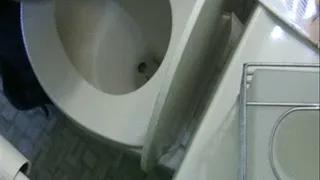 Ass View Behind the Toilet Booty Toilet Humiliation