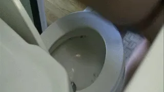 The besT part of your TOILET FETISH