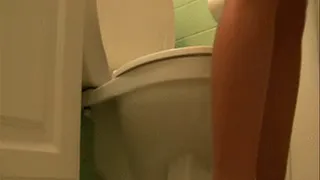 Tipsyin Toilet Fetish