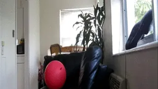 Cute Balloon Blowing Breathing hARD BELLY
