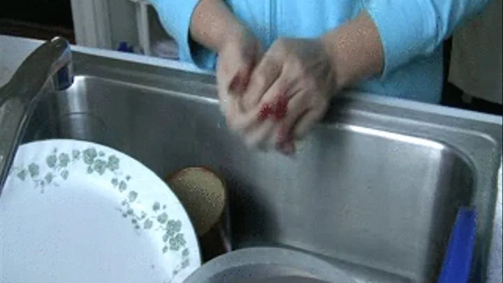 Bueatiful Hands Washing the Dishes