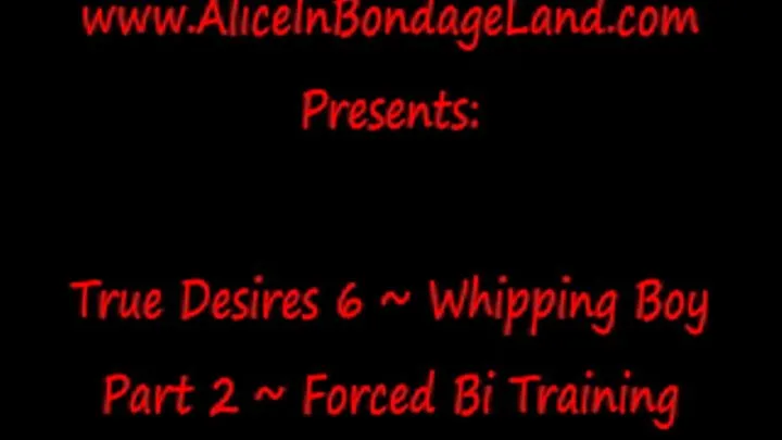 Whipping Boy Part 2 - Bi Beatdown Gangbang True Desires FemDom Mistress Retreat