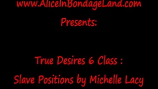 Slave Positions Class by Mistress Michelle Lacey True Desires FemDom Retreat Educational