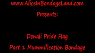 Public Mummification Bondage Pt 1 FemDom Mistress Tape Humiliation