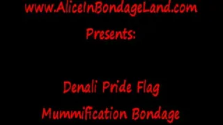 Pride Flag PUBLIC Mummification Duct Tape FemDom Lesbian Bondage Humiliation