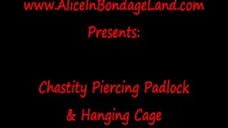 Padlock Piercing Chastity - Hanging Cage Tease and Denial