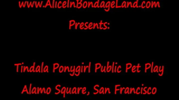 Human Pony Play in the Park - San Francisco Full House Houses Bondage Humiliation Tourist