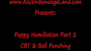 Human Puppy CBT & Anal Pegging Part 2 Puppy Play Threesome Humiliation FemDom Mistress