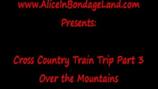 Bondage Train Strait Jacket Part 3 FemDom Mistress Lifestyle Vacation