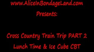 CBT Bondage Train Trip Strait Jacket Part 2 FemDom Mistress Lifestyle Vacation