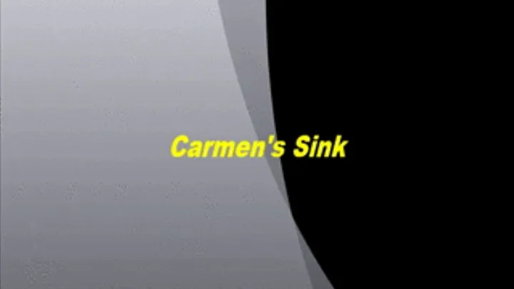 CARMEN'S SINK