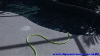 Vanessa Vixon in The Pool Stalker