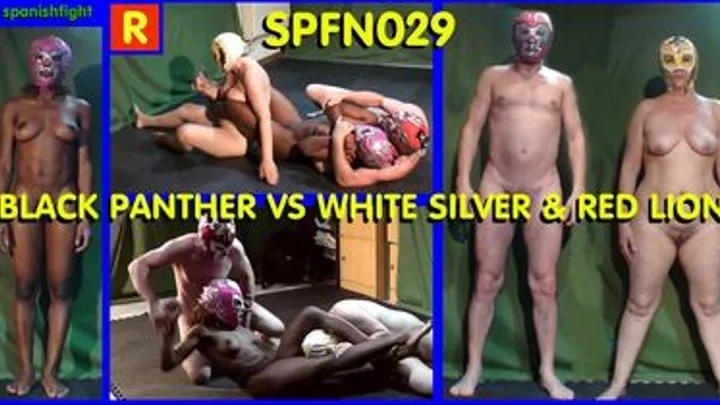 SPFN029 BLACK PANTHER VS WHITE SILVER & RED LION