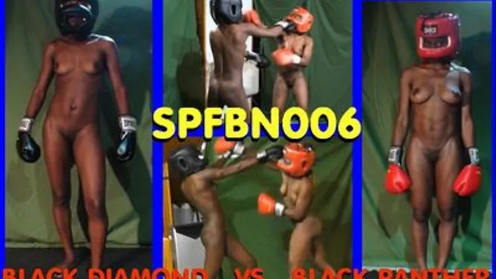 SPFBN006 BLACK DIAMOND VS BLACK PANTHER -