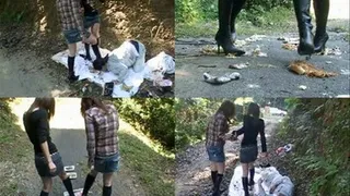 Poor Man Bound To Get A Ruined Outdoor Lunch From Mean Vixens - Part 4 ( - AVI Format)