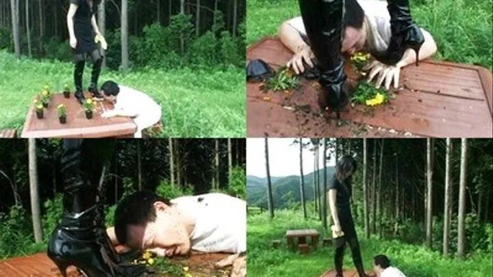 After slave eats food, domme still feeds him with plants! - Part 2 ( - AVI Format)