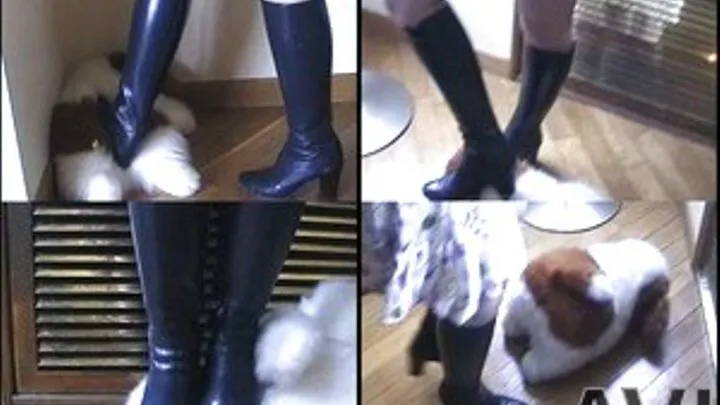 Poor stuffed toy is beaten and crushed as domme in boots steps on it - Part 1 (Faster Download - ))