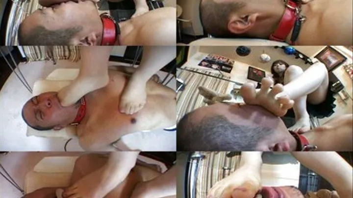 Dominated & Beaten By Feet - PT-003 - Full version ( - AVI Format)