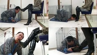 While in his cage, man licks domina's dirty booties - Full version ( - AVI Format)