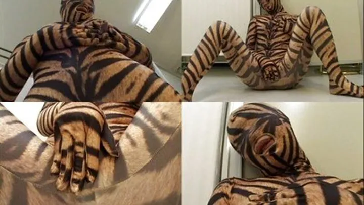 Mistress Wears Her Tiger Costume! Masturbates On The Floor! - Full version ( - AVI Format)