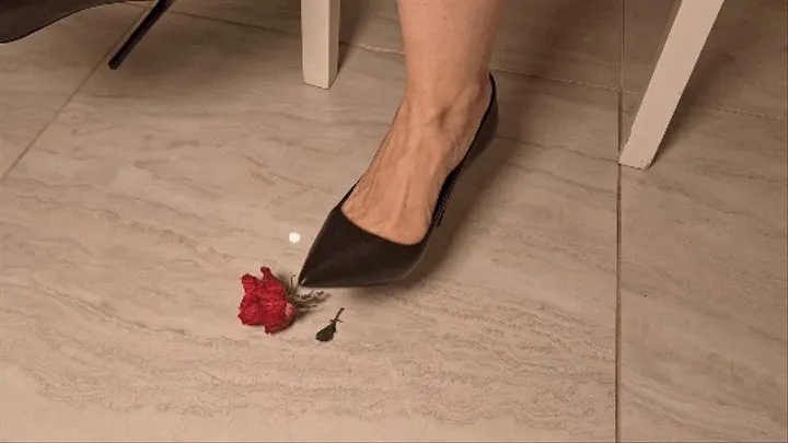 Toe tapping in high heeled shoes and crush a rose (HH)