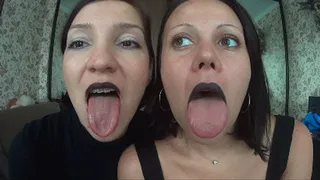 TONGUES COMPARING AND FACE LICKING (FL)